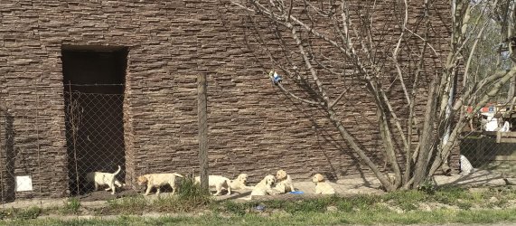 IMG_7366.jpeg IMG_7366.jpeg