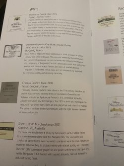 IMG_5036.jpeg IMG_5036.jpeg