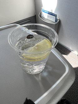 IMG_9648.jpeg IMG_9648.jpeg