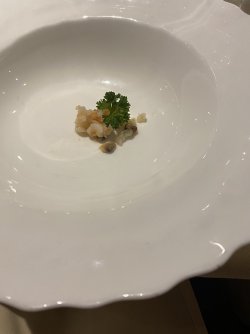 IMG_7869.jpg IMG_7869.jpg