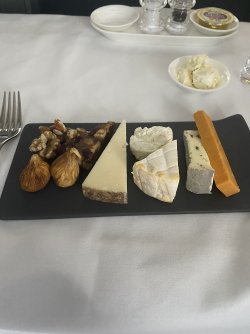 IMG_5083.jpeg IMG_5083.jpeg