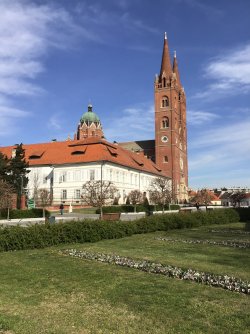 IMG_7621.jpeg IMG_7621.jpeg