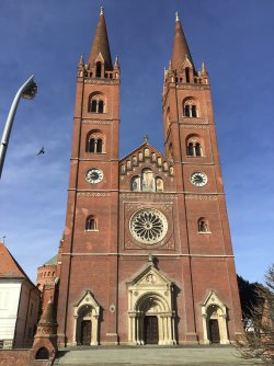 IMG_7628.jpeg IMG_7628.jpeg