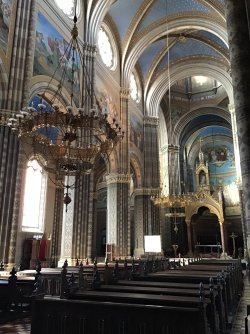 IMG_7639.jpeg IMG_7639.jpeg