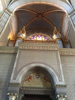 IMG_7640.jpeg IMG_7640.jpeg