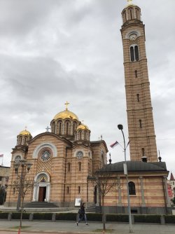 IMG_7665.jpeg IMG_7665.jpeg