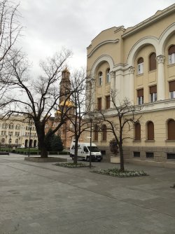 IMG_7669.jpeg IMG_7669.jpeg