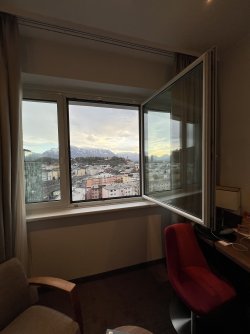 IMG_2973.jpeg IMG_2973.jpeg