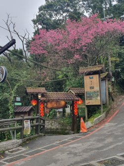 20240326_130357.jpg 20240326_130357.jpg