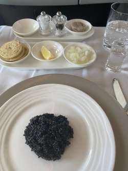 IMG_5109.jpeg IMG_5109.jpeg