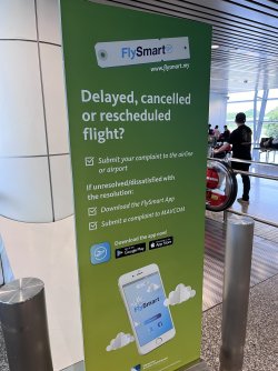 IMG_1958.jpeg IMG_1958.jpeg