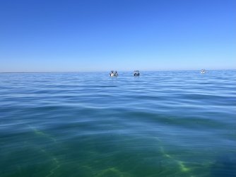 IMG_6843.jpeg IMG_6843.jpeg