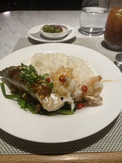 IMG_5177.jpeg IMG_5177.jpeg