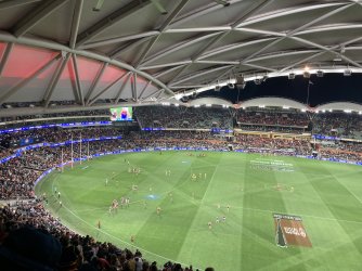 IMG_6235.jpeg IMG_6235.jpeg