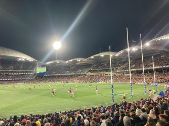 IMG_6233.jpeg IMG_6233.jpeg