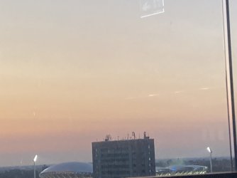 IMG_6297.jpeg IMG_6297.jpeg