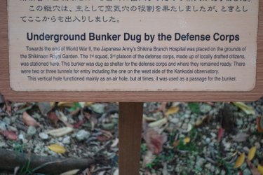 DSC02645.JPG DSC02645.JPG