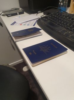 20240408_125524.jpg 20240408_125524.jpg