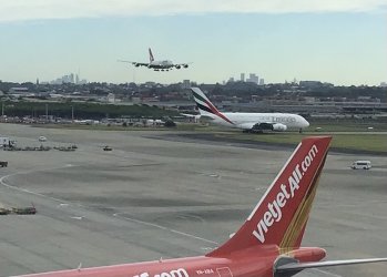 IMG_7746.jpeg IMG_7746.jpeg