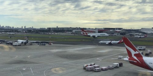 IMG_7749.jpeg IMG_7749.jpeg