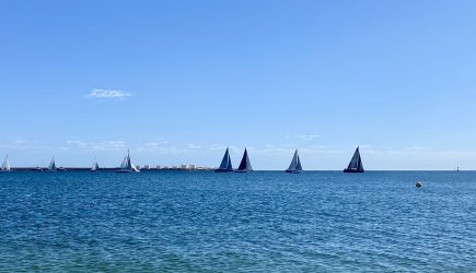 IMG_3210.jpeg IMG_3210.jpeg