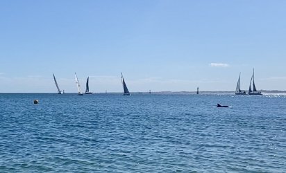 IMG_3214.jpeg IMG_3214.jpeg