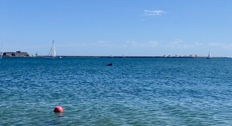 IMG_3213.jpeg IMG_3213.jpeg