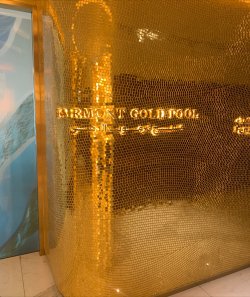 IMG_0798.jpeg IMG_0798.jpeg