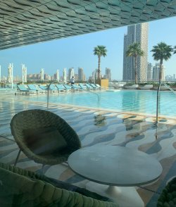 IMG_0799.jpeg IMG_0799.jpeg