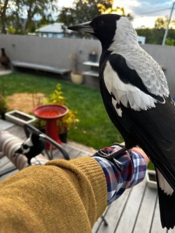 IMG_1041.jpeg IMG_1041.jpeg