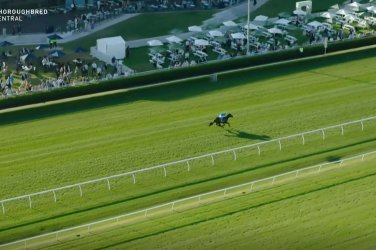 1712998038048.jpeg 1712998038048.jpeg