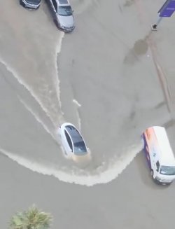 IMG_3233.jpeg IMG_3233.jpeg