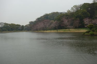 DSC03265.JPG DSC03265.JPG
