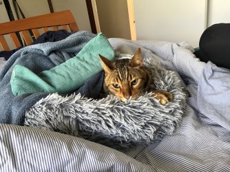 IMG_7905.jpeg IMG_7905.jpeg