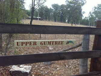 IMG_1151.jpeg IMG_1151.jpeg