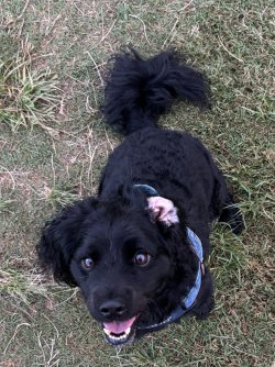 IMG_3744.jpeg IMG_3744.jpeg