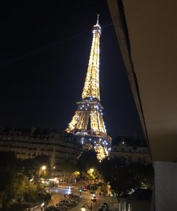 IMG_0824.jpeg IMG_0824.jpeg