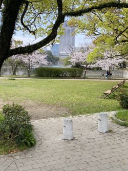 IMG_8365.jpg IMG_8365.jpg