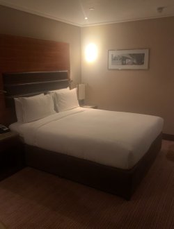 IMG_6027.jpeg IMG_6027.jpeg