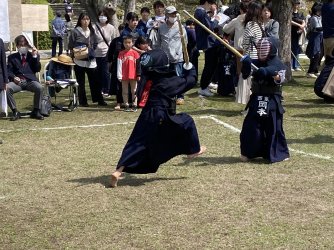 IMG_8381.jpg IMG_8381.jpg