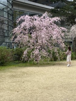 IMG_8389.jpg IMG_8389.jpg