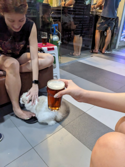 1713869519120.png 1713869519120.png