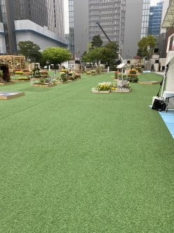 IMG_8462.jpg IMG_8462.jpg
