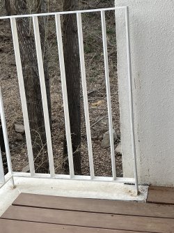 IMG_5769.jpeg IMG_5769.jpeg