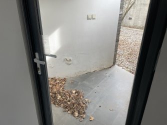 IMG_5764.jpeg IMG_5764.jpeg