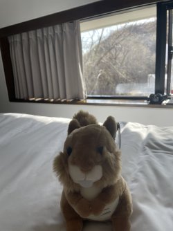 IMG_5750.jpeg IMG_5750.jpeg