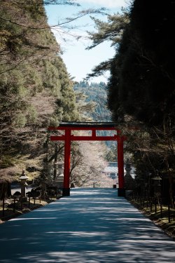 2024RTW_extralowres-26.jpg 2024RTW_extralowres-26.jpg