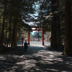 2024RTW_extralowres-23.jpg 2024RTW_extralowres-23.jpg