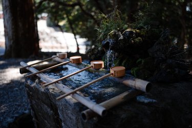 2024RTW_extralowres-22.jpg 2024RTW_extralowres-22.jpg