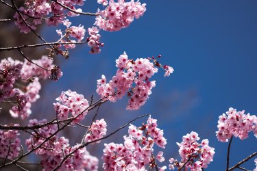 2024RTW_extralowres-18.jpg 2024RTW_extralowres-18.jpg